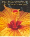 Bl&uuml;ten-Feuerwerk
