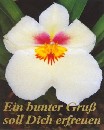 Ein bunter Gru&szlig;